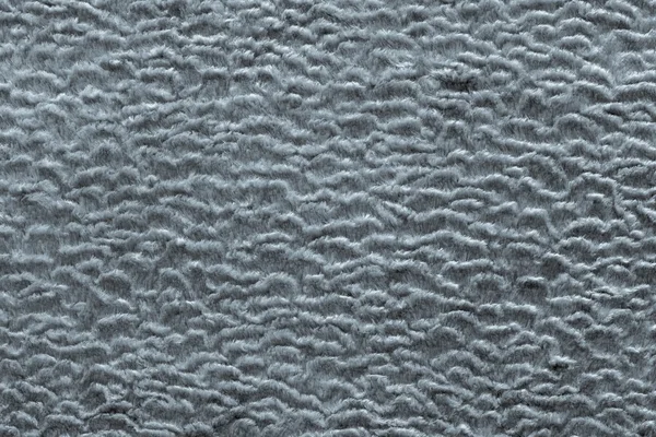 Текстура короткошерстной меховой ткани серебристого цвета — стоковое фото