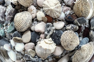 bir tabanının parlak sualtı fotoğraf