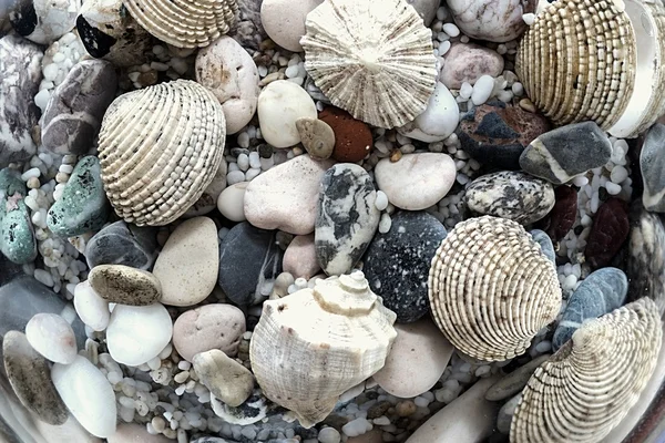bir tabanının parlak sualtı fotoğraf