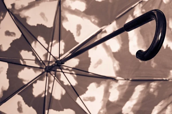 Brown umbrella cane fragment from within closeup — Stock Photo, Image