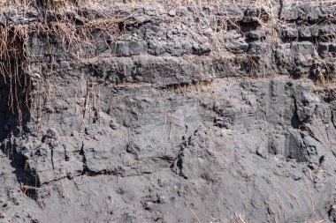 dokulu yan yüzey çim