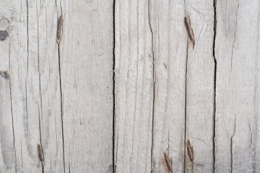 gri renk eski kurulları bir boşluk ve çatlaklar ile