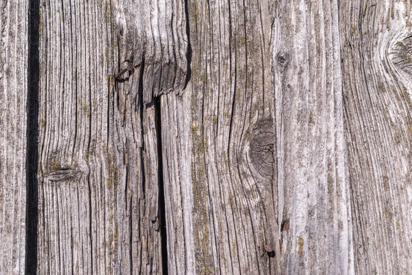 Texture des vieilles planches de bois pourries — Photo