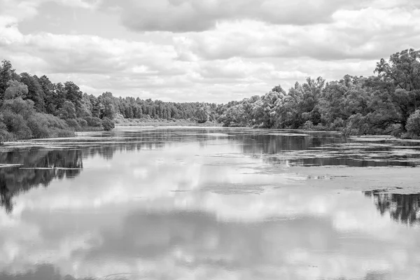 Landscape of the river or lake in monochrome tone — Stock Photo, Image