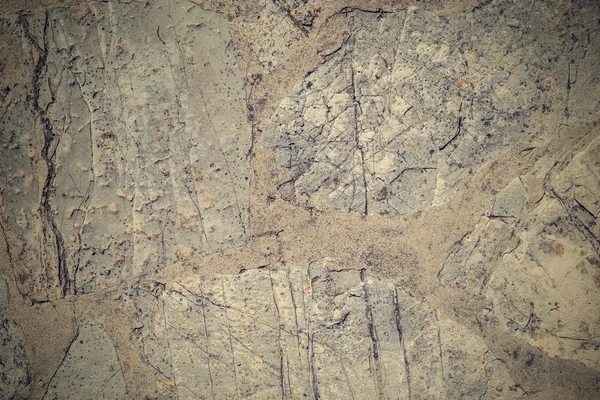石コンクリート床の抽象的なテクスチャ — ストック写真