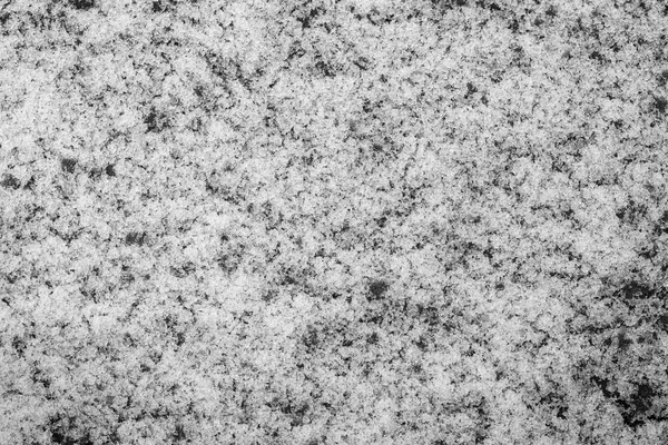 Brilliant snow or hoarfrost of monochrome tone — Stock Photo, Image