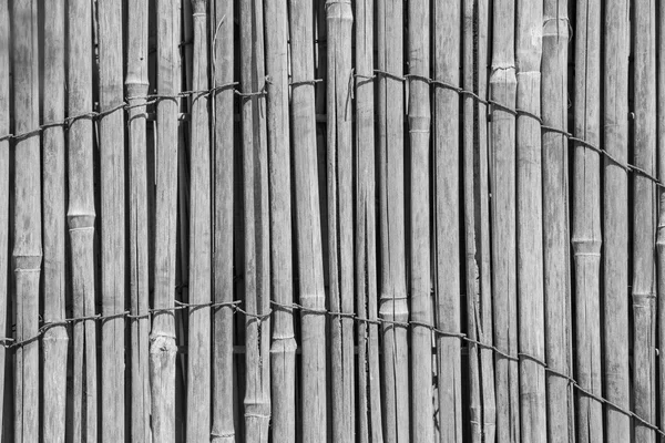 Curtain or screen from a reed of gray color — Stock Photo, Image