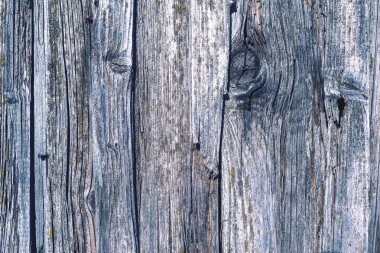 eski çürümüş ahşap kurulların doku