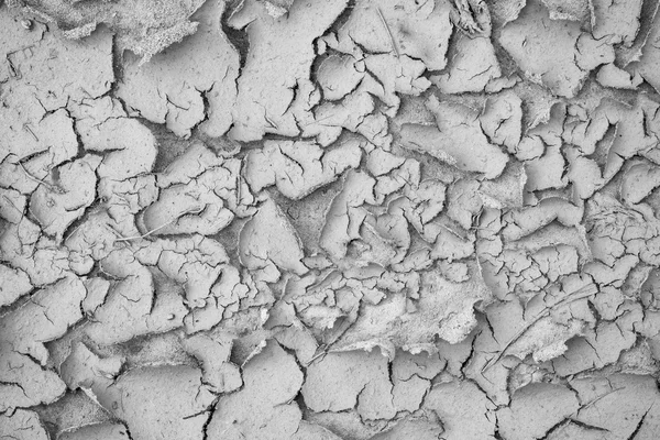 Abstract gray texture of the shriveled sandy soil — Stock Photo, Image