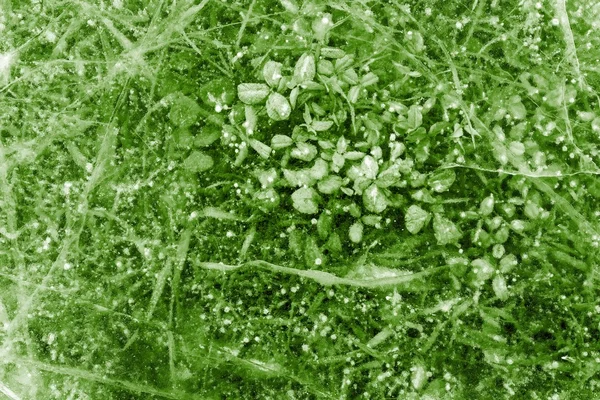 Absztrakt textúra a természetes jég áttetsző zöld szín — Stock Fotó