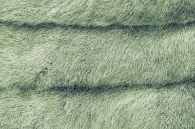 çeşitli kürk doku soyut