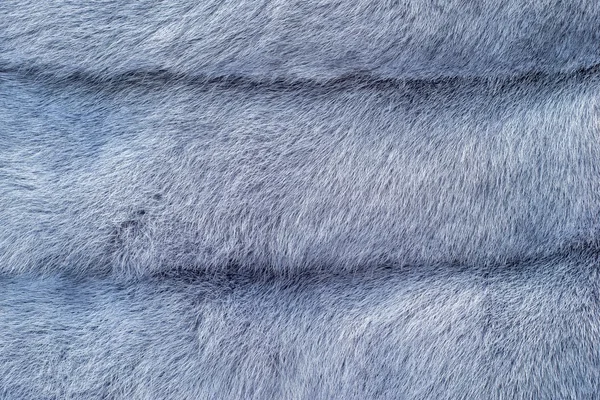 Various abstract fur texture — Stock Photo, Image