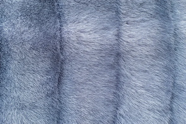 Various abstract fur texture — Stock Photo, Image