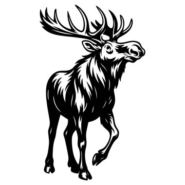 Black and white vector illustration of a moose with large antlers, standing pose, wildlife clipart for cutting and design.