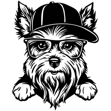 Siyah beyaz çizgili kalın bir şapka takan havalı bir köpek portresi. Kıyafetler için şehir çizgi film karakteri