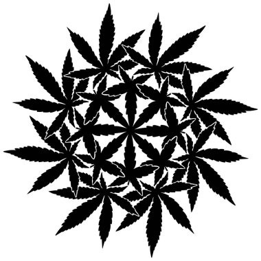 Esrar Mandala Vektörü, Marihuana Yaprak Geometrik Deseni, Siyah Siluet Tasarımı
