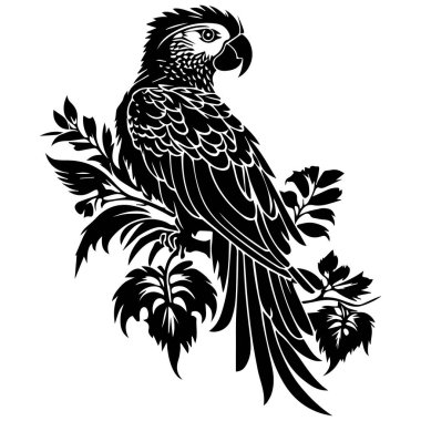 Süslü tüyleri olan tropikal dallara tünemiş ayrıntılı papağan tasarım veya dövme sanatı için zarif siyah ve beyaz vektör çizimi.