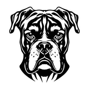 Detaylı siyah-beyaz biçiminde boksör köpek başı, anlamlı ve güçlü vektör illüstrasyonu.