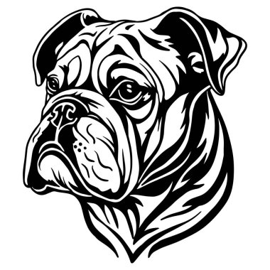 Detaylı siyah-beyaz biçiminde boksör köpek başı, anlamlı ve güçlü vektör illüstrasyonu.
