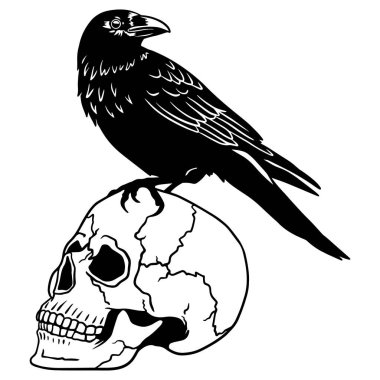 Bir insan kafatası üzerinde oturan kuzgun, kesme ve tasarlama için gotik karanlık sanat Clipart. Vektör illüstrasyonu