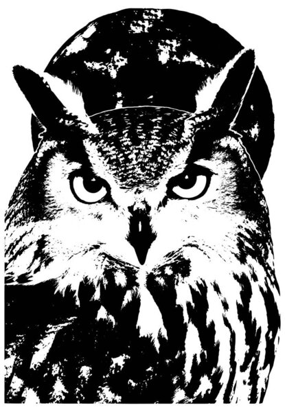 Филин с гравировкой черно-белого вектора, ретро-иллюстрация дикой природы, детальная голова совы с луной, изолированная на прозрачном фоне