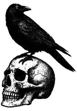 Kafatası üzerindeki karga, retro fotokopi yarım ton kabartma siyah beyaz gotik karanlık sanat şeffaf arka planda izole