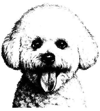 Bichon Frise fotokopi kabarık yuvarlak ceket ve şakacı ifade ile kabartma portresi, şeffaf arka planda izole.