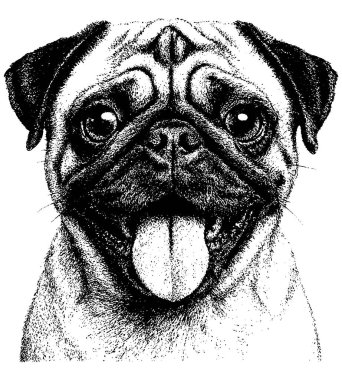 Geçmişe dönük fotokopi portresi, buruşuk ağızlık ve şakacı bir dil, şeffaf arka planda izole edilmiş..