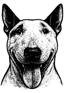 Retro fotokopi tarzında boğa teriyeri koyu tahıl dokusu ve güçlü kontrast, dil dışarı, şeffaf arka planda izole.