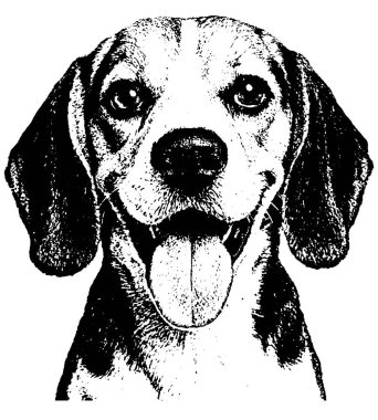 Retro fotokopi yarım ton kabartma stili koyu tahıl ve parlak kontrastlı, şeffaf arkaplanda izole siyah beyaz.