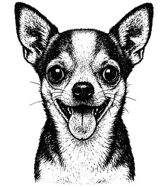 Chihuahua retro fotokopi yarım ton gravür stili