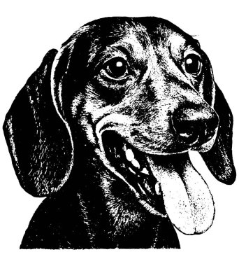 Dachshund retro fotokopi yarım ton kabartma stili koyu tahıl ve anlamlı kontrast, şeffaf arka planda izole I