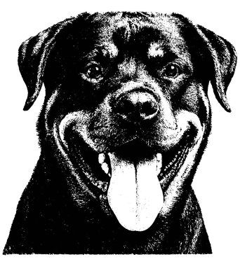 Retro fotokopi yarım ton kabartma stili koyu tahıllı ve şeffaf kontrastlı Rottweiler.