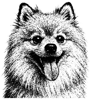 Retro fotokopi yarım ton kabartma stili kabarık desenli tahıl ve şeffaf izole edilmiş koyu kontrast ile Spitz