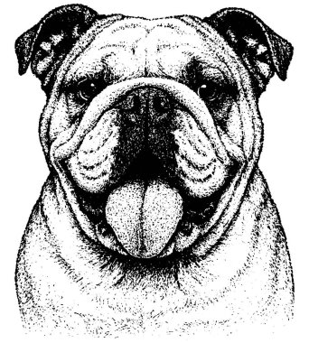 Retro fotokopi yarım ton kabartma stili, zengin tahıl ve kalın kontrast, şeffaf arkaplanda izole edilmiş.