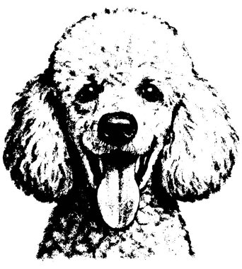 Şeffaf arkaplanda izole edilmiş, dokulu tahıllı ve kalın kontrast içeren bir kanişin yarım tonluk retroskopisi.