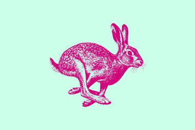 Kalın neon renklerde çalışan bir tavşanın eski model fotokopisi, pastel arka planda yüksek kontrastlı vahşi yaşam illüstrasyonu.