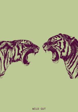 Yumuşak yeşil arka planda birbirine bakan iki kükreyen kaplanın fotokopi posteri, dramatik gerilimli cesur klasik vahşi yaşam illüstrasyonu.