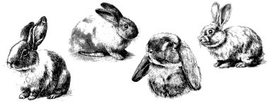 Vintage oymalı Tavşanlar Vektör Retro Eting Tavşan Resimleri, Siyah ve Beyaz Hayvan Seçme Koleksiyonu