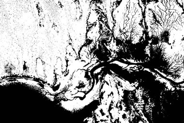 Topografik Vektör Dokusu, Soyut Dünya Yardım Haritası, Yüksek Kontrast Coğrafi Arkaplan, Arazi Çizgileri Şablonu