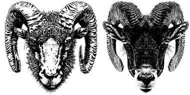 Eğri Boynuzlu Vintage Ram Kafaları, Şeffaf Arkaplanda Retro Fotokopi Yarım İşleme Hayvanı Seti