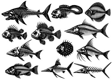 Balık İskeleti Paketi, Klasik Fotokopi Yarıton İşlemeleri, Siyah ve Beyaz Deniz Vektör Kümesi İzole Edildi