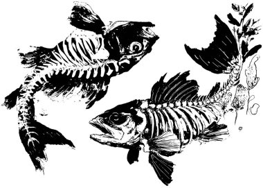 İki Balık İskeleti, Klasik Fotokopi Yarım Tonlama, Siyah ve Beyaz Grunge Denizci Vektör İllüstrasyonu