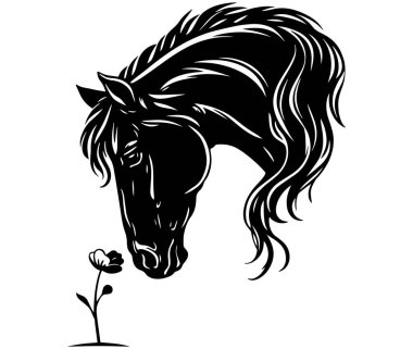 At kafasının siyah-beyaz çizimi. Küçük bir çiçeğe hafifçe dokunuyor. Kesmek için temiz bir çizgi.