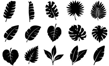 Tropik Yaprak Silueti Paketi Kara Botanik Vektörü Canavar Avuç İçi Muz Yaprakları Cricut Kesme Dekorasyonu