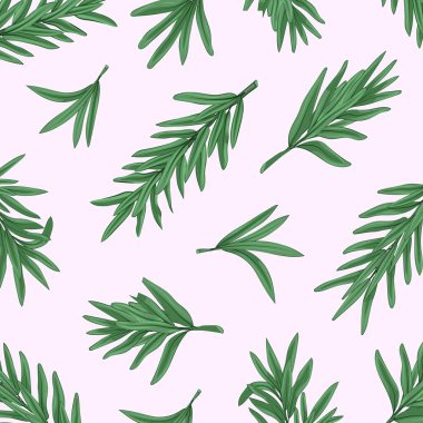 Taze biberiye dalları. Doku. Renkli görüntü. Yakın plan. Tasarım elementi. Vektör illüstrasyonu.