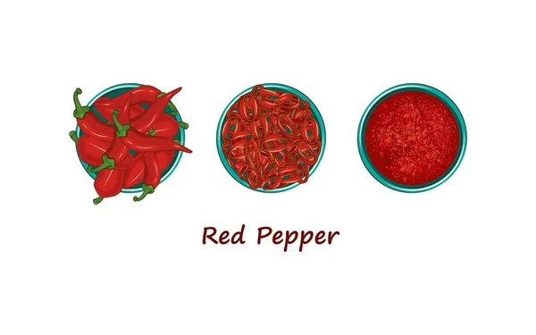 Varios Usos Del Pimiento Rojo Pimienta Roja Picada Aros Molida — Archivo Imágenes Vectoriales