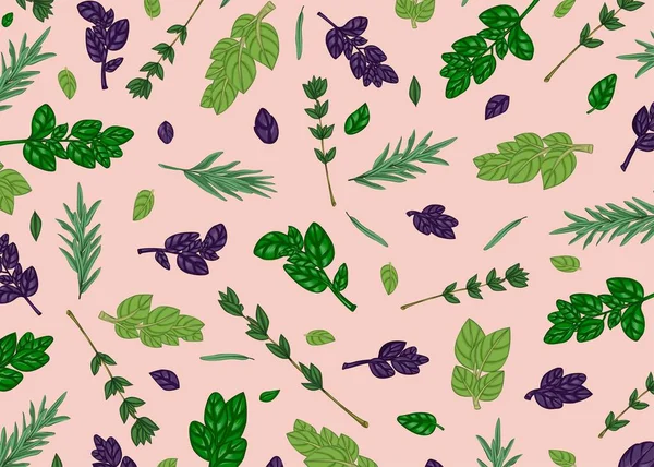 Multicolored Background Basil Thyme Oregano Rosemary Branches Vector Illustration — ストックベクタ