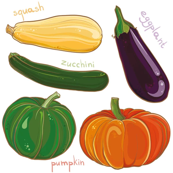 Conjunto de vectores con ilustración de berenjena, calabaza, calabaza y calabaza —  Fotos de Stock