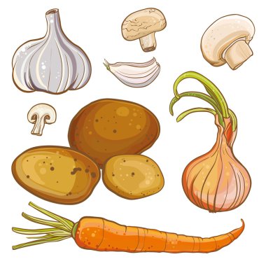 Ayarla soğan, havuç, patates, sarımsak, mantar ile vektör